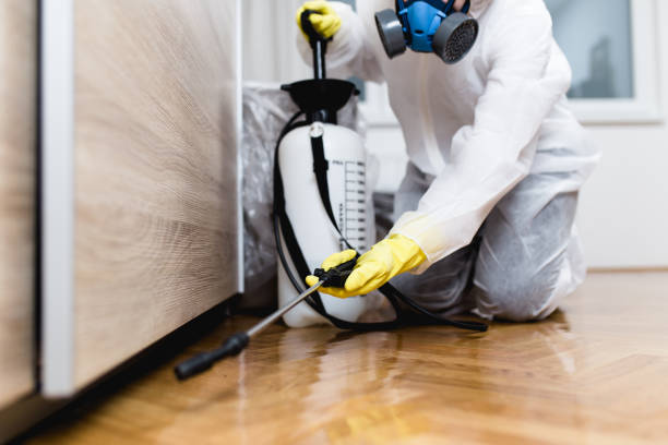 Professional Pest Control in Ship Bottom, NJ