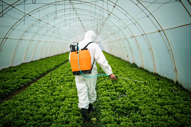 Best Pest Control Treatment  in Ship Bottom, NJ