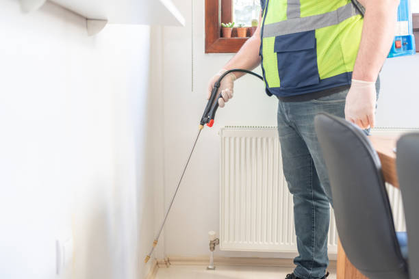 Trusted Ship Bottom, NJ Pest Control Experts